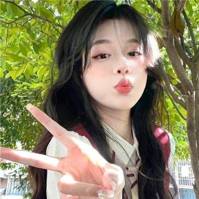 鹤遗失的语言