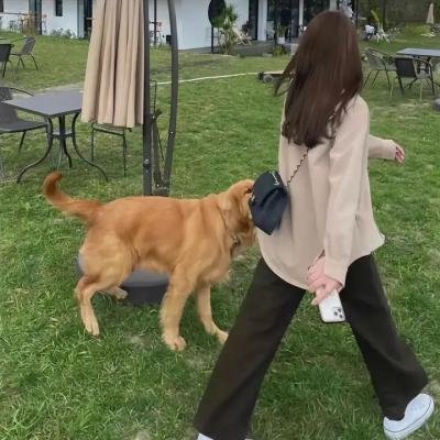 我是吉姆